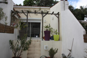 PETITE MAISON D'HÔTE et SON PATIO au PIED DE NOTRE-DAME